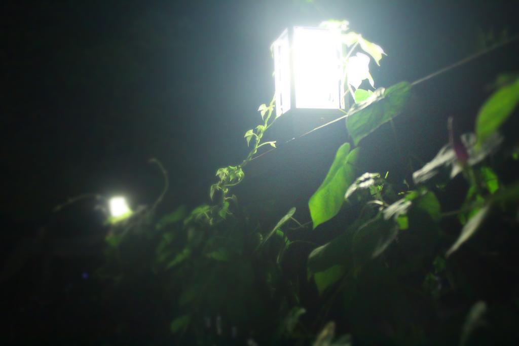 Time Story Villa Yangpyeong Luaran gambar