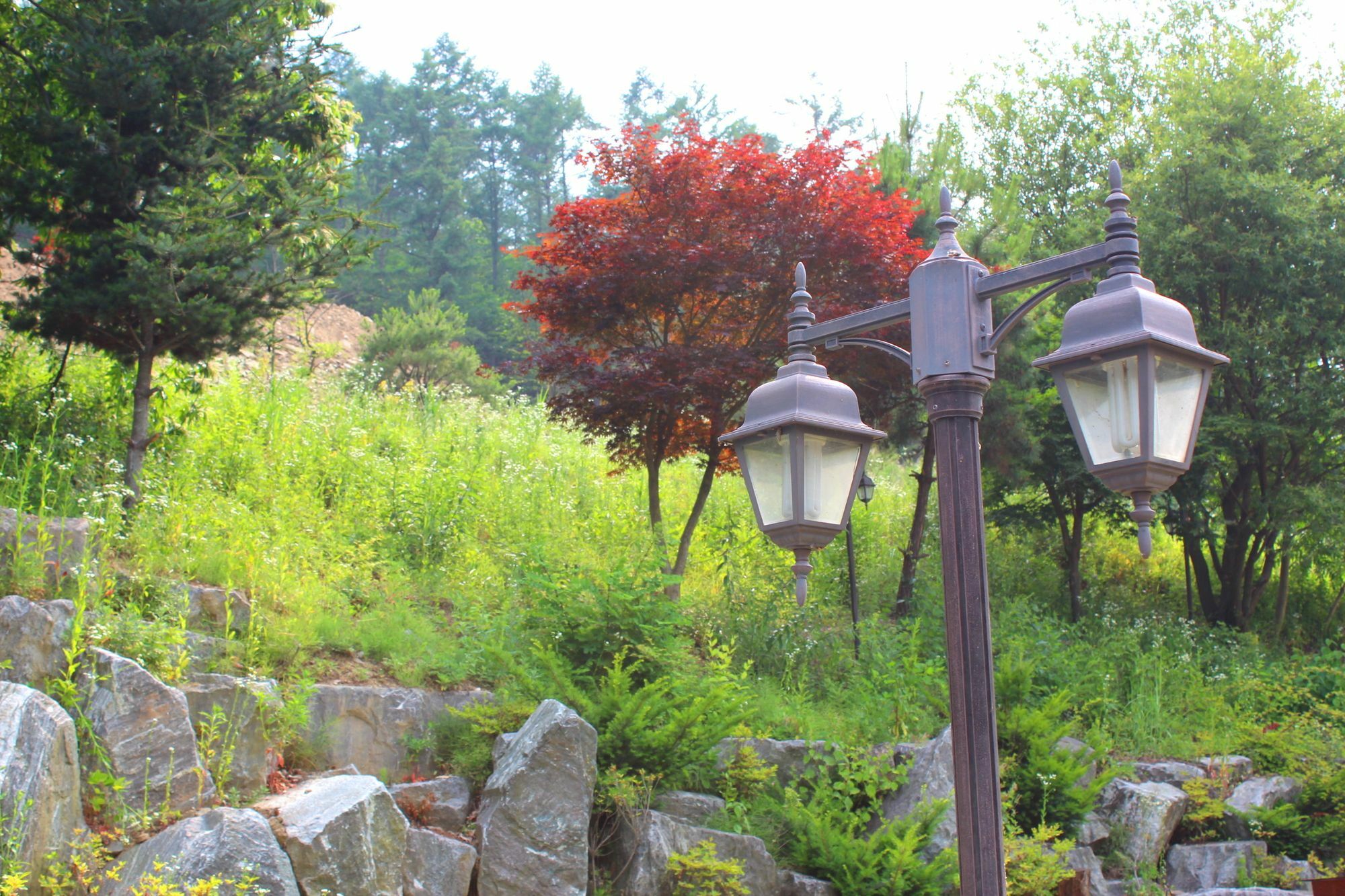 Time Story Villa Yangpyeong Luaran gambar