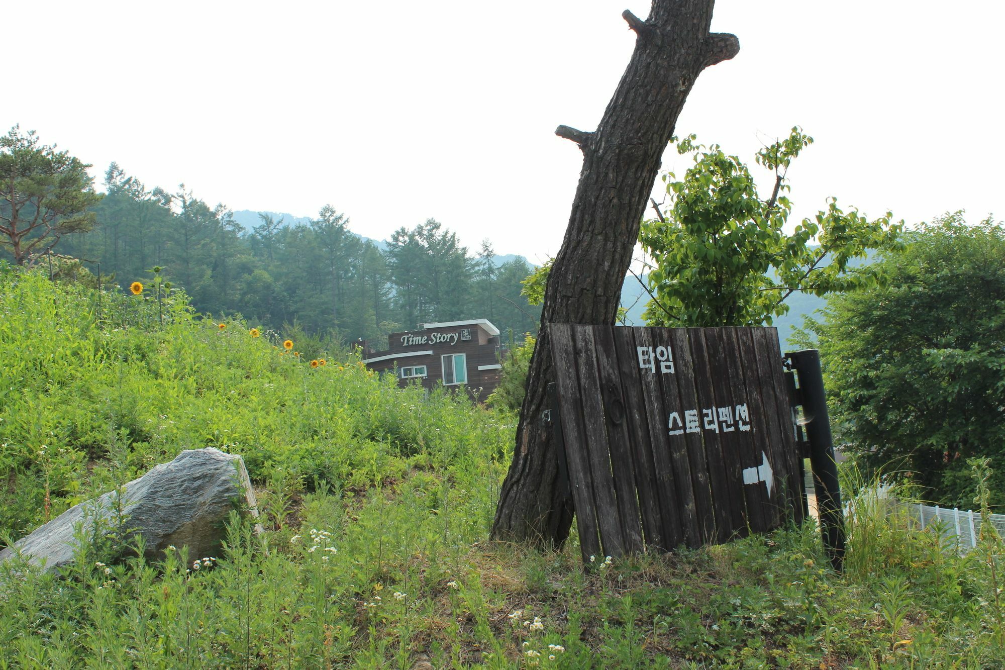 Time Story Villa Yangpyeong Luaran gambar